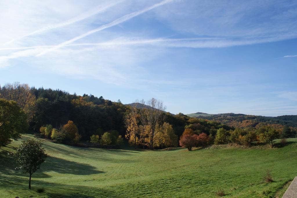 Chateau Du Besset Saint-Romain-de-Lerps Exteriör bild